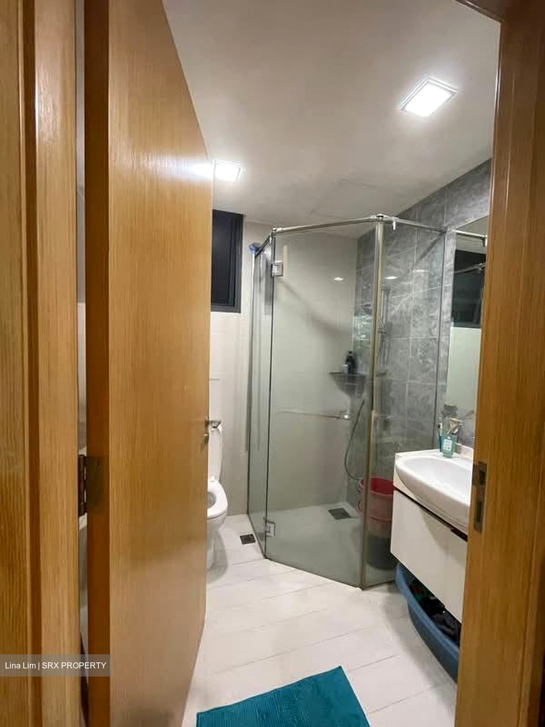 La Fiesta (D19), Condominium #537518131